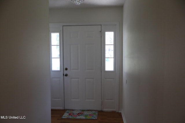 foyer featuring dark wood-type flooring