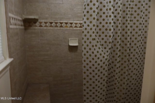 room details with tiled shower