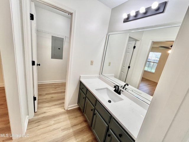 7164 Kimlee Cv, Southaven, MS 38671 - bathroom with electric panel, wood finished floors, vanity, baseboards, and a walk in closet
