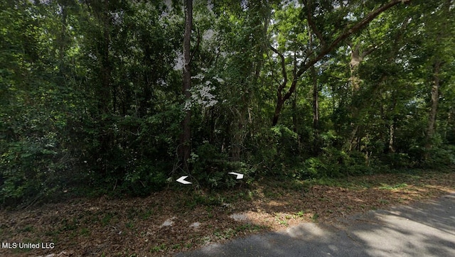 LOT198 Tuna Rd, Gautier MS, 39553 land for sale