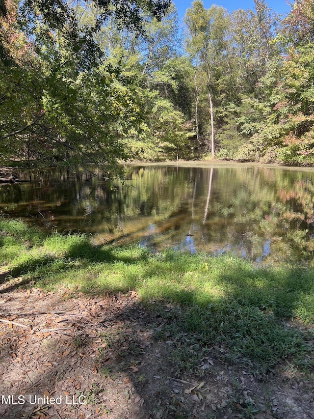 water view featuring a wooded view