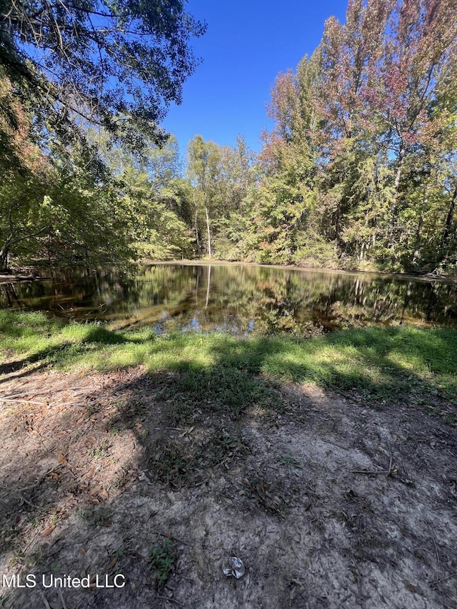 view of yard featuring a water view and a wooded view