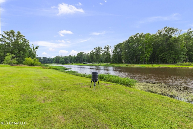 1053 Woodbridge Dr, Brandon, MS 39047 - water view
