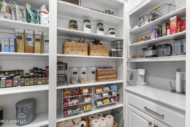 1053 Woodbridge Dr, Brandon, MS 39047 - view of pantry