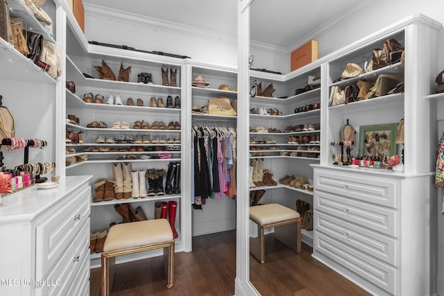 1053 Woodbridge Dr, Brandon, MS 39047 - walk in closet featuring dark wood-style flooring