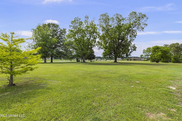 1053 Woodbridge Dr, Brandon, MS 39047 - view of green lawn