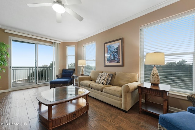 living room featuring dark hardwood / wood-style flooring, ornamental molding, and ceiling fan