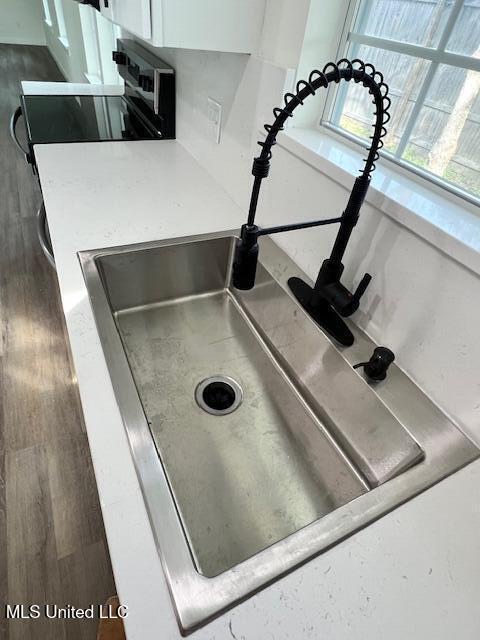 details featuring dark hardwood / wood-style flooring and sink