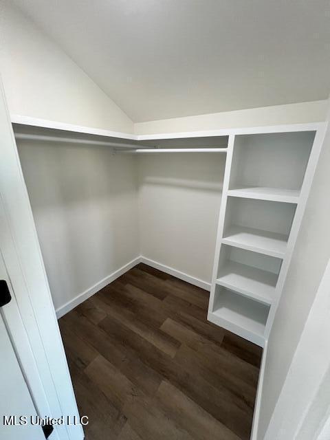 spacious closet with lofted ceiling and dark hardwood / wood-style flooring