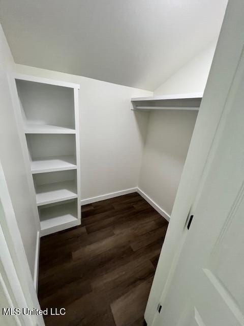 spacious closet with lofted ceiling and dark hardwood / wood-style floors