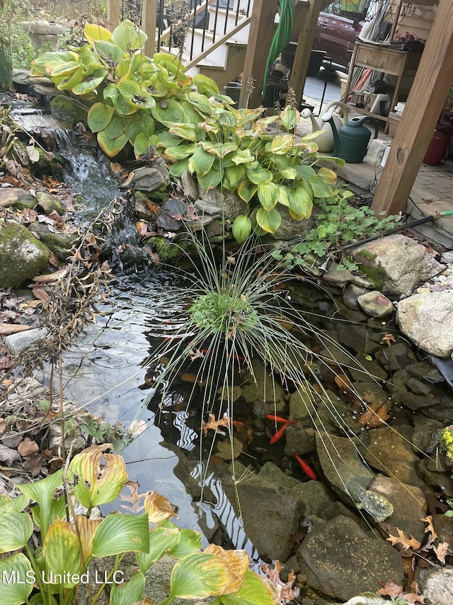 details with a small pond