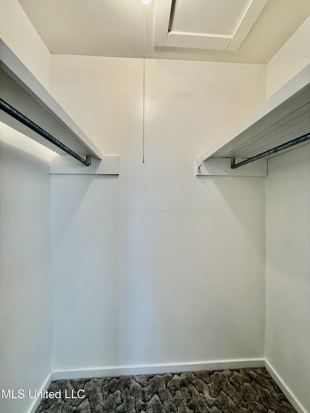 view of spacious closet