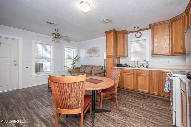 kitchen featuring ceiling fan, dark hardwood / wood-style floors, sink, white electric range oven, and a textured ceiling