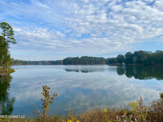 Rock Ranch Rd, Picayune MS, 39466 land for sale