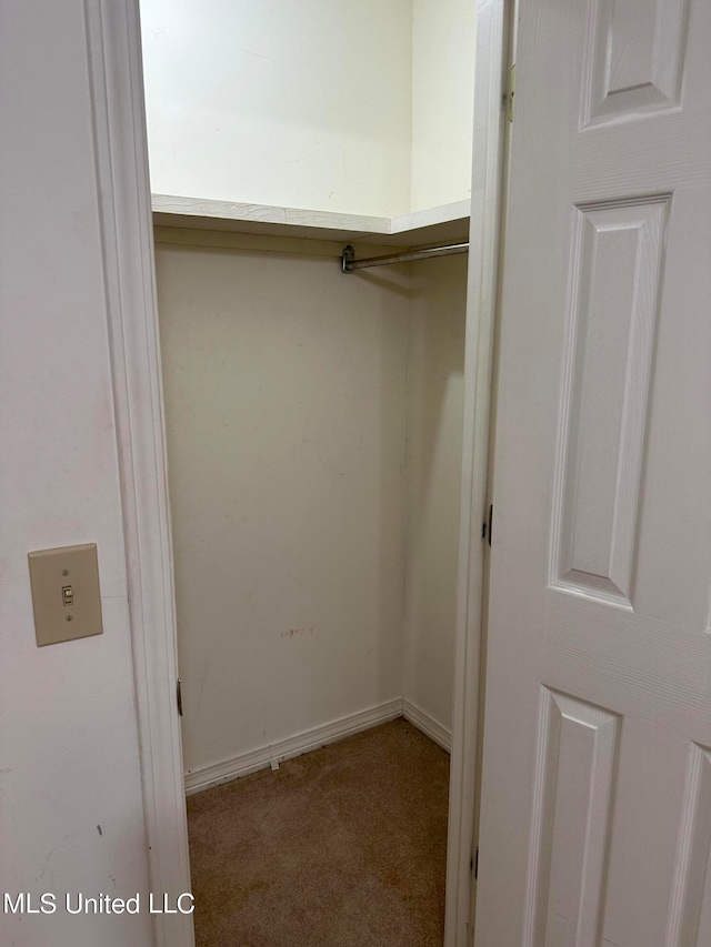 walk in closet featuring light carpet