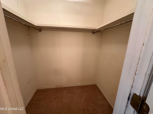 spacious closet with carpet