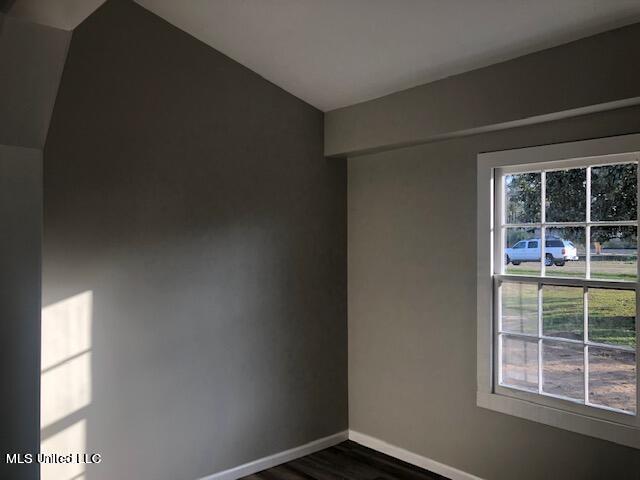 spare room featuring a wealth of natural light and dark hardwood / wood-style flooring