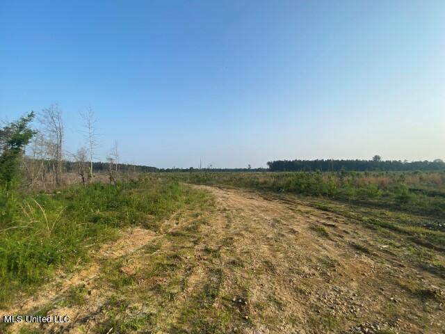 Mink Branch Rd, Pelahatchie, MS 39145