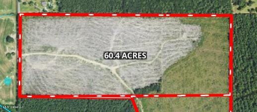 Mink Branch Rd, Pelahatchie, MS 39145