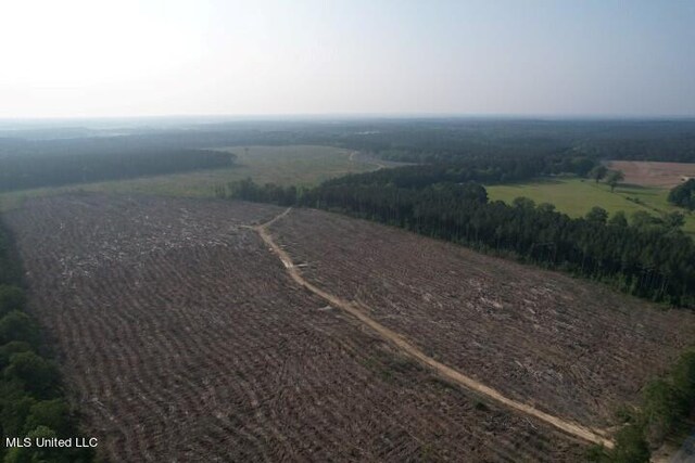 Mink Branch Rd, Pelahatchie, MS 39145