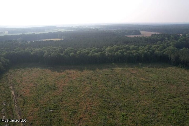 Mink Branch Rd, Pelahatchie, MS 39145