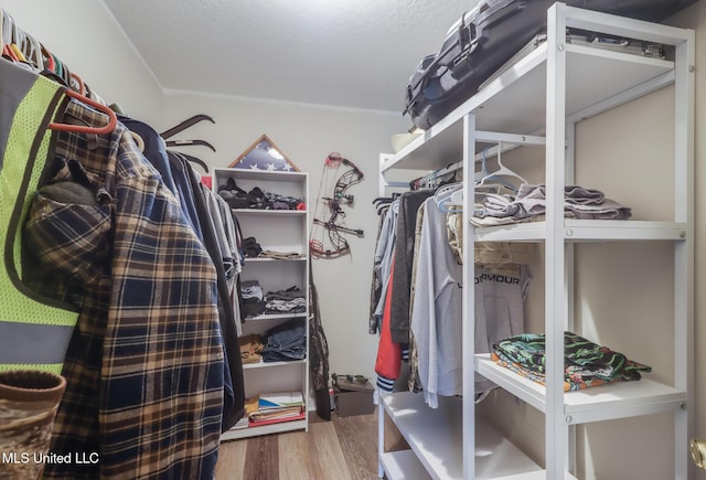 spacious closet featuring wood finished floors
