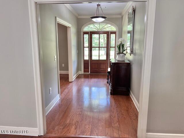 entryway featuring crown molding and dark hardwood / wood-style flooring