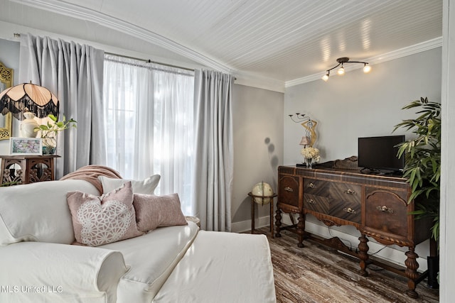 living room with crown molding and wood-type flooring