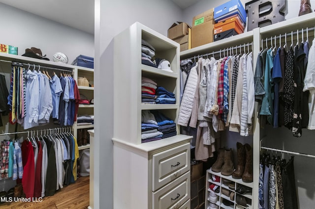 walk in closet featuring wood finished floors