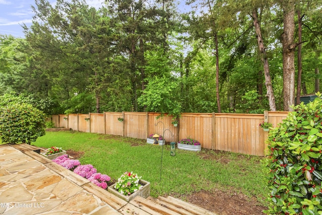 view of yard featuring a fenced backyard
