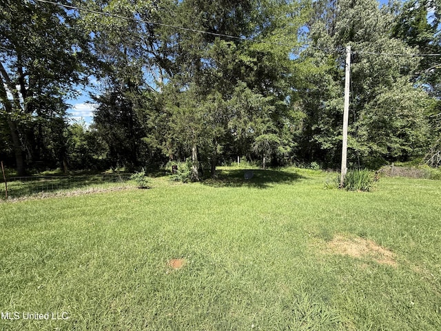 view of green lawn