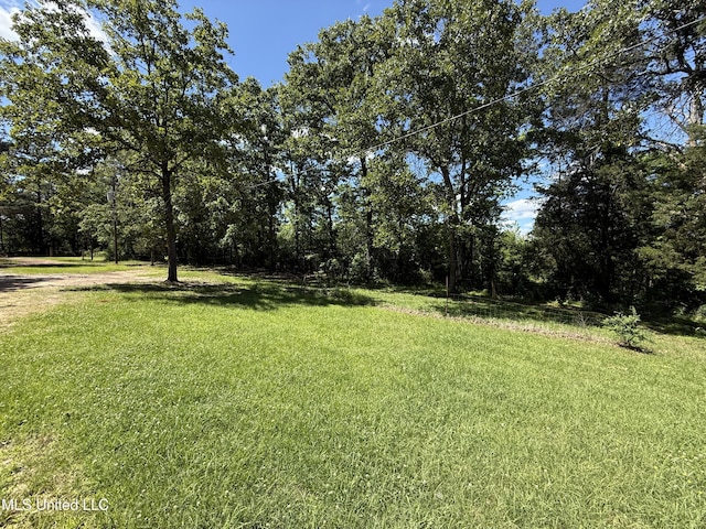 view of green lawn