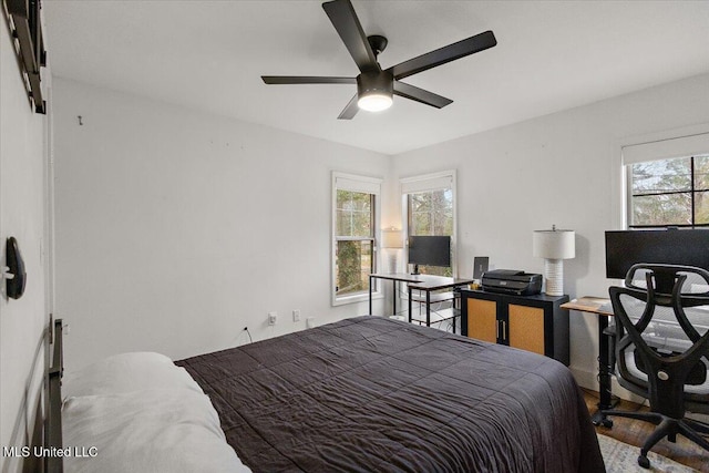 bedroom with multiple windows, ceiling fan, and hardwood / wood-style flooring