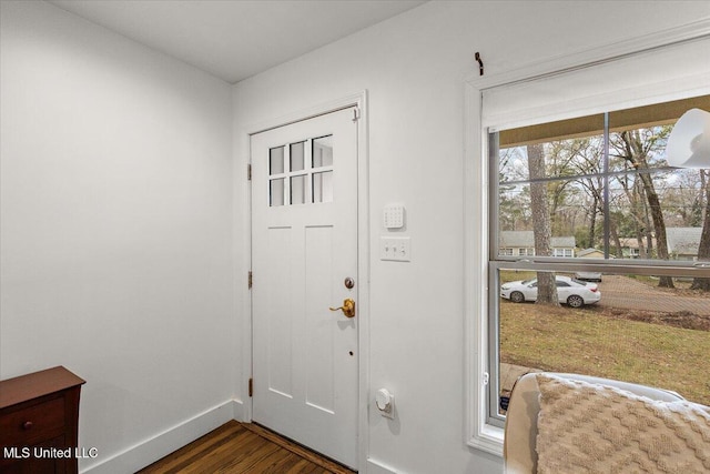 entrance foyer featuring dark wood-type flooring