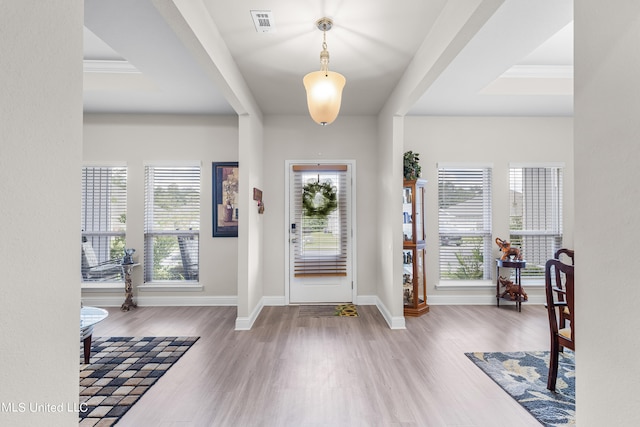 entrance foyer with hardwood / wood-style flooring and plenty of natural light