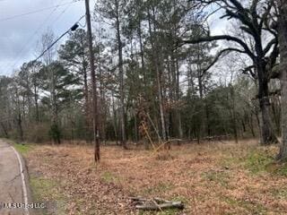 001 Sims Hill Rd, Morton MS, 39117 land for sale