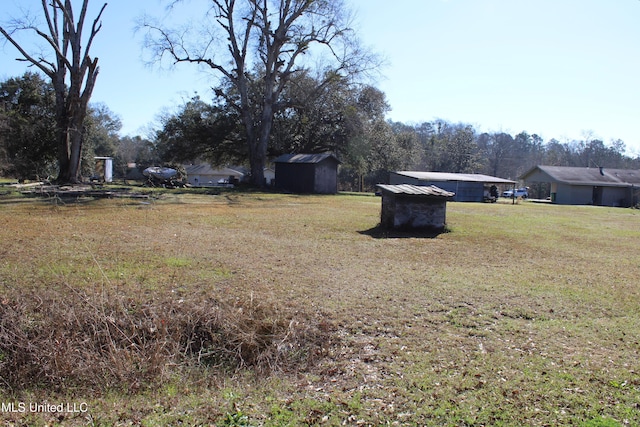 view of yard featuring a storage shed and an outbuilding