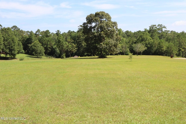 2212 Sampras Blvd, Vancleave, MS 39565 - view of undeveloped land