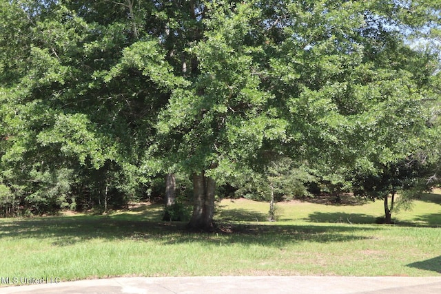 2212 Sampras Blvd, Vancleave, MS 39565 - view of grassy yard