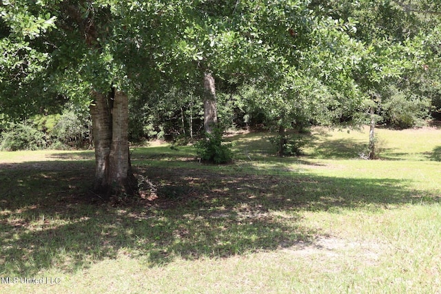 2212 Sampras Blvd, Vancleave, MS 39565 - view of local wilderness