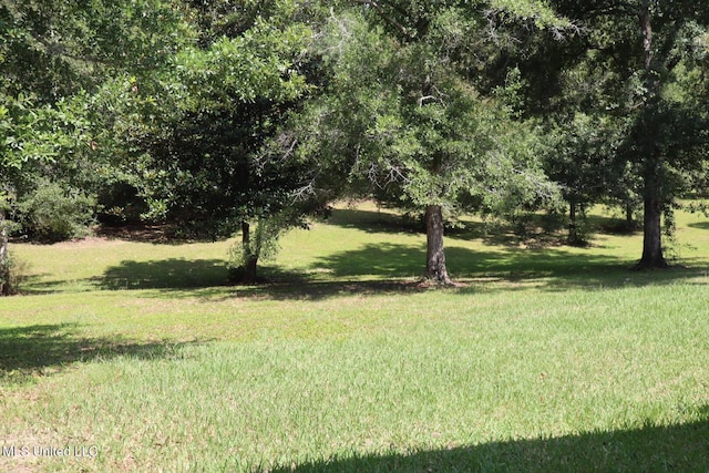 2212 Sampras Blvd, Vancleave, MS 39565 - view of green lawn