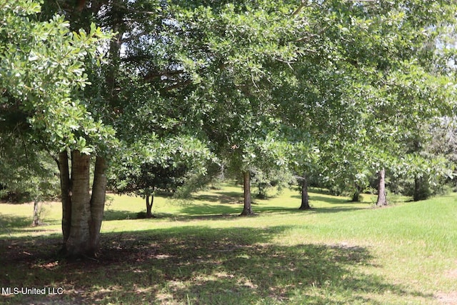 2212 Sampras Blvd, Vancleave, MS 39565 - view of grassy yard