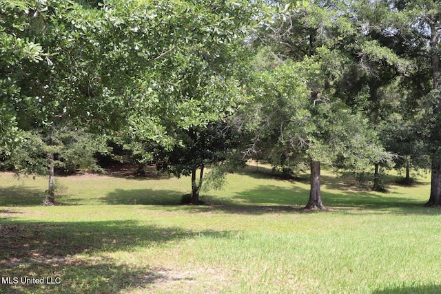 2212 Sampras Blvd, Vancleave, MS 39565 - view of grassy yard