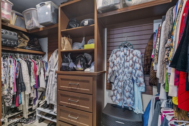 view of spacious closet