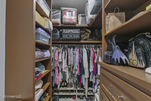 view of spacious closet