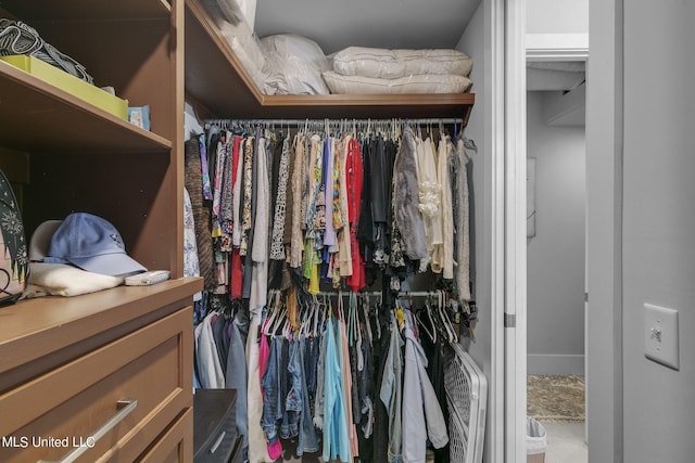 view of spacious closet