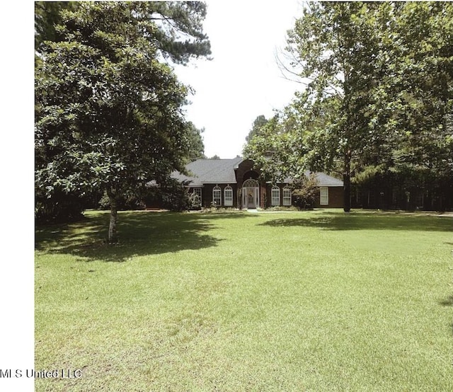 17931 Rayford Shumock Rd, Moss Point, MS 39562 - view of grassy yard