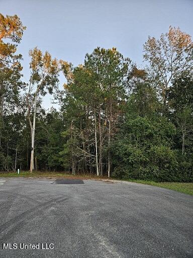 Maunalani Pl, Diamondhead, MS 39525