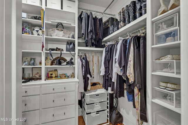 323 Penrose Pl, Madison, MS 39110 - view of spacious closet