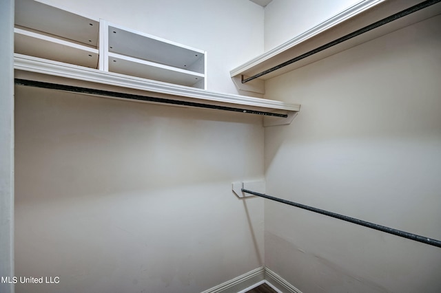 view of walk in closet